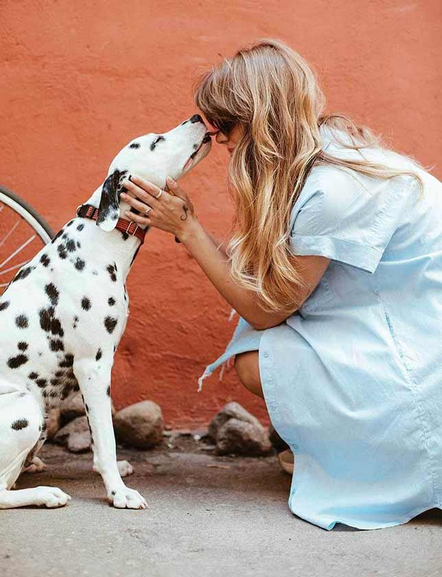 Woman with adopted Dalmatian dog 